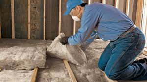 Best Spray Foam Insulation  in Edna, TX