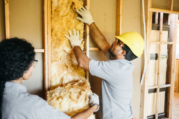 Best Basement Insulation  in Edna, TX