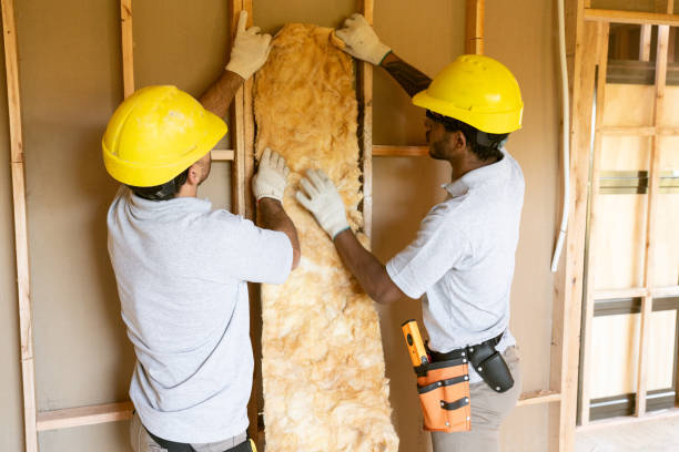 Best Eco-Friendly or Green Insulation Solutions  in Edna, TX