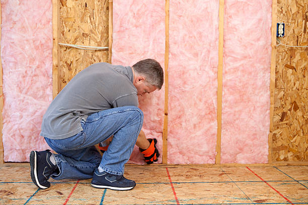 Best Basement Insulation  in Edna, TX